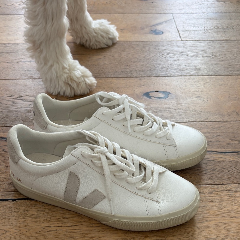 Veja White and Gray Sneakers